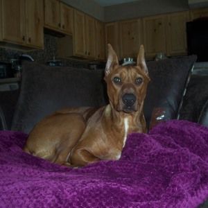 Meet your Posher, Susan